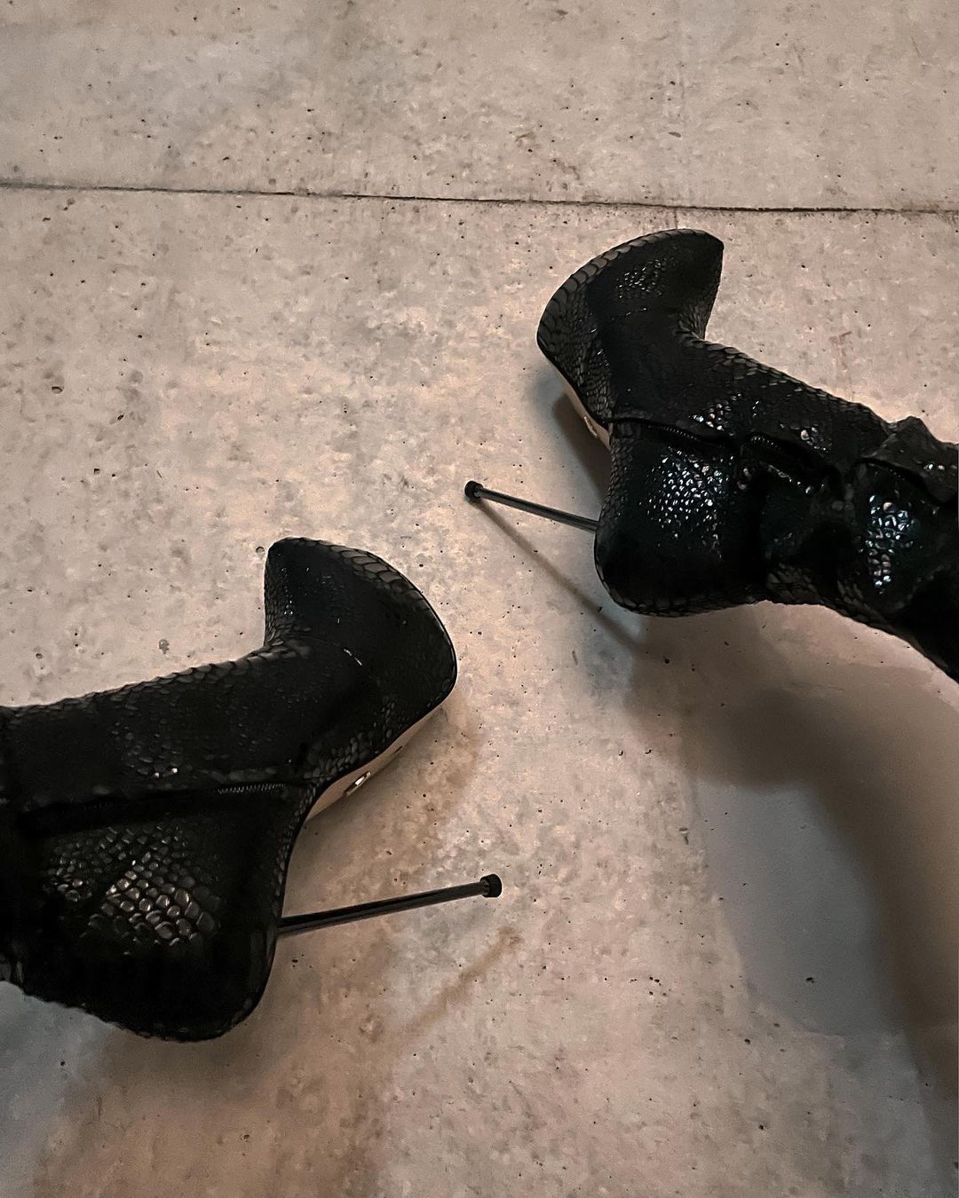 BRISA BLACK SNAKE