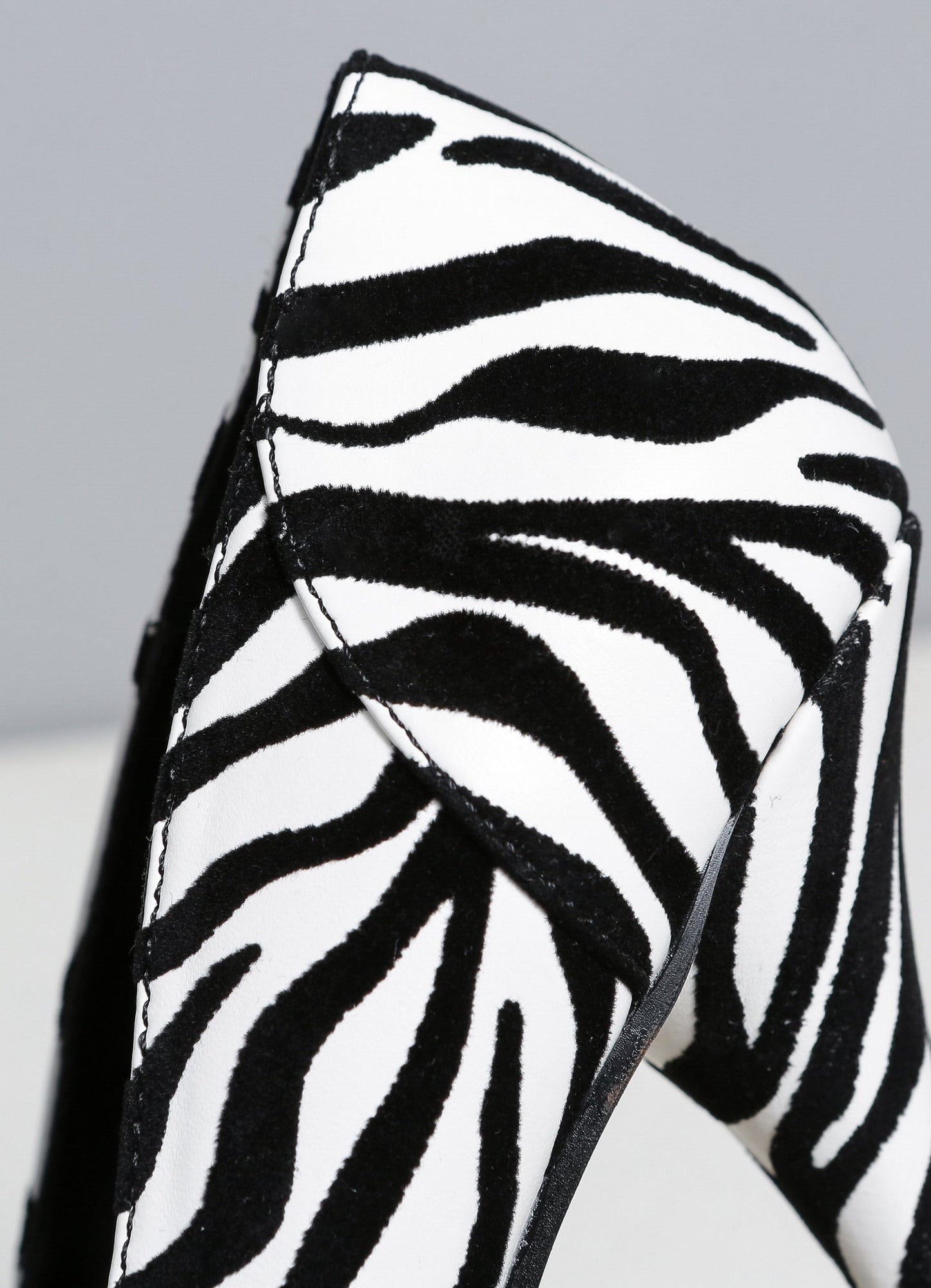 JAMIE ZEBRA