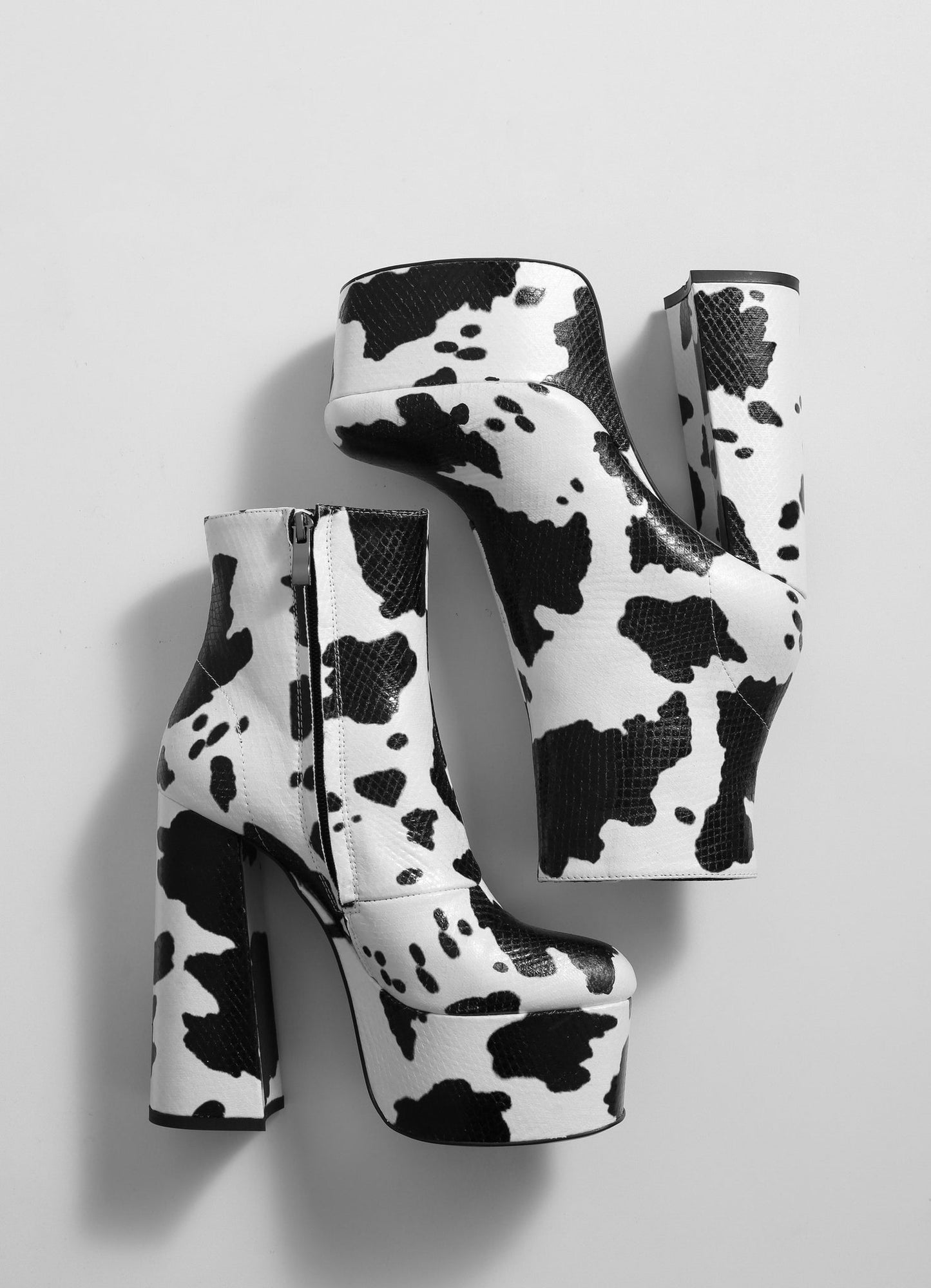 ANTONIA COW BLACK WHITE