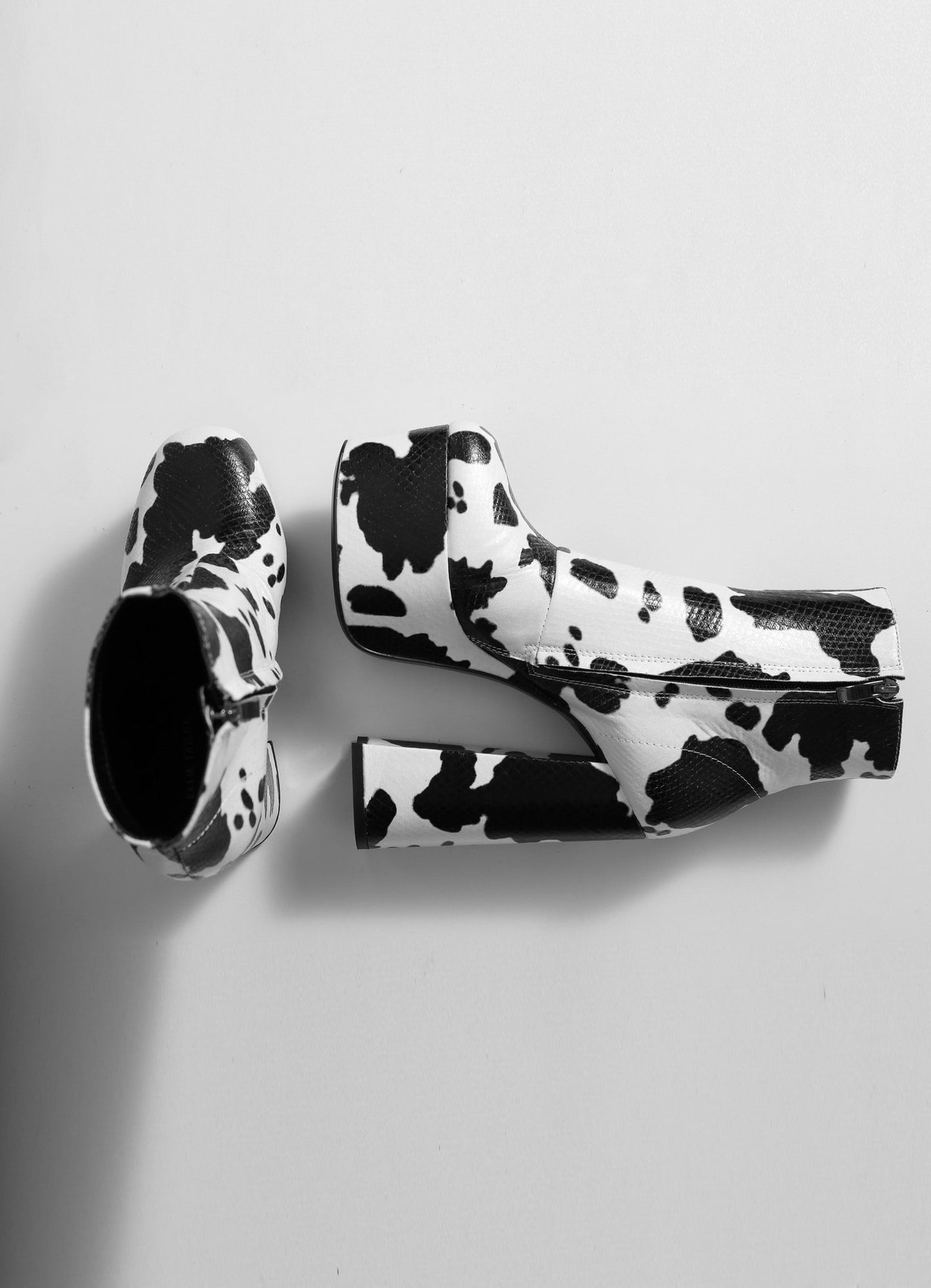 ANTONIA COW BLACK WHITE