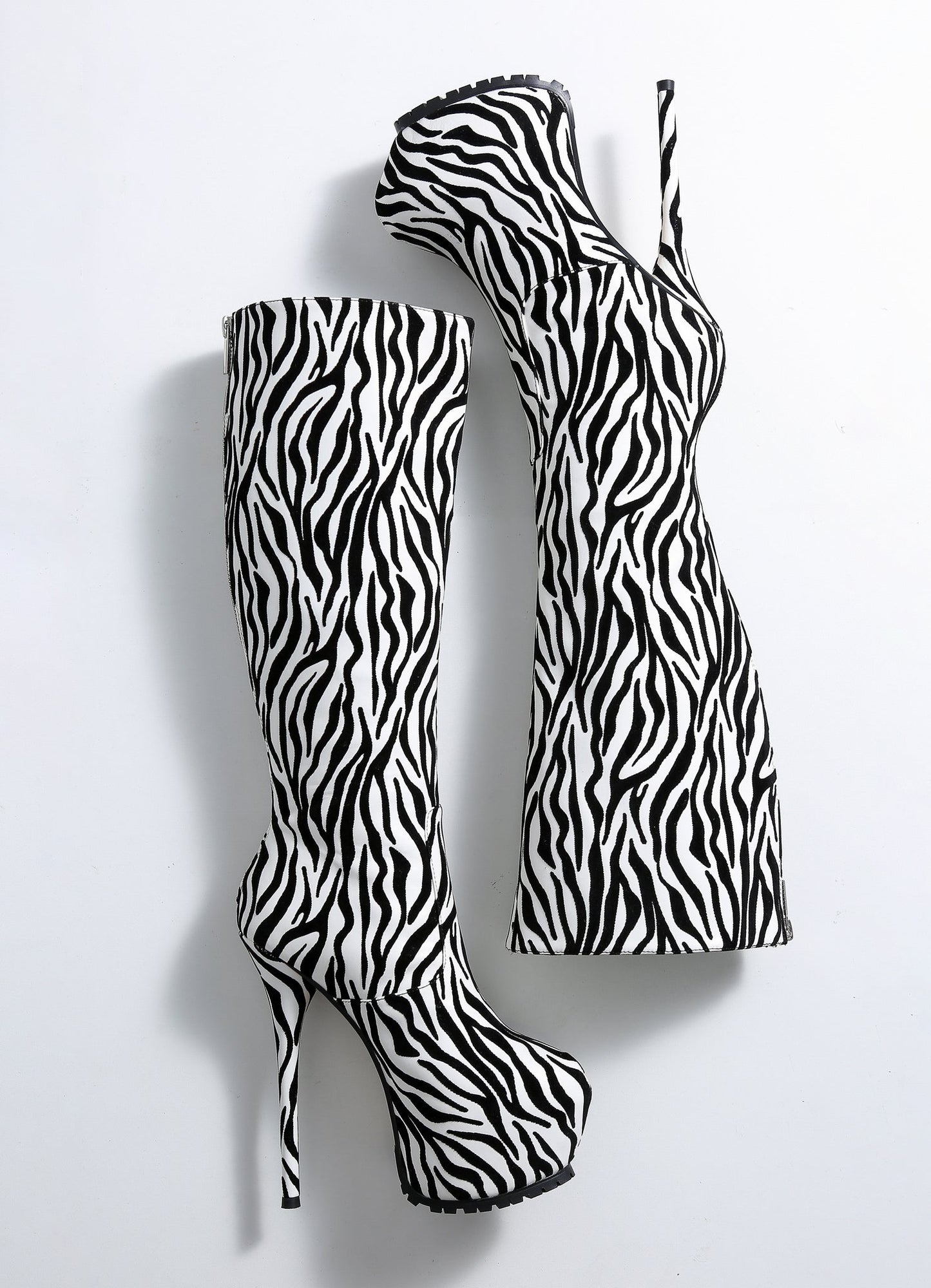 JACEY ZEBRA