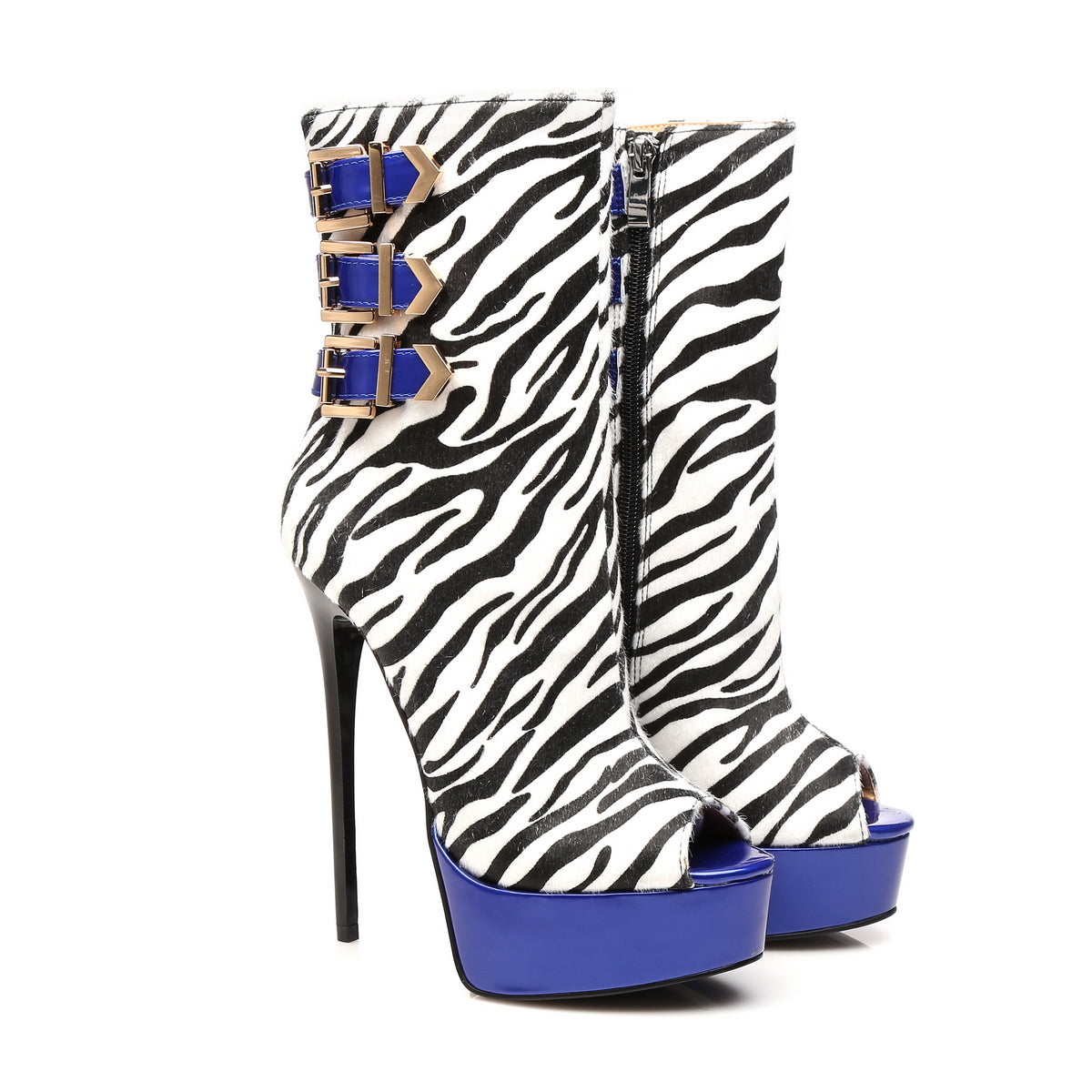 MARUCKLE ZEBRA