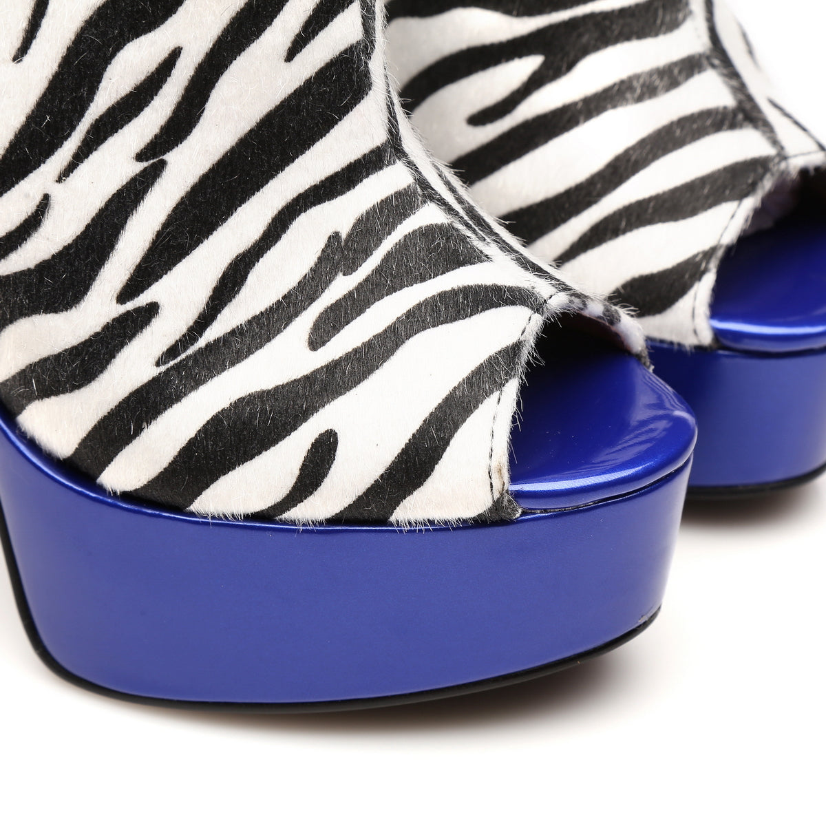 MARUCKLE ZEBRA