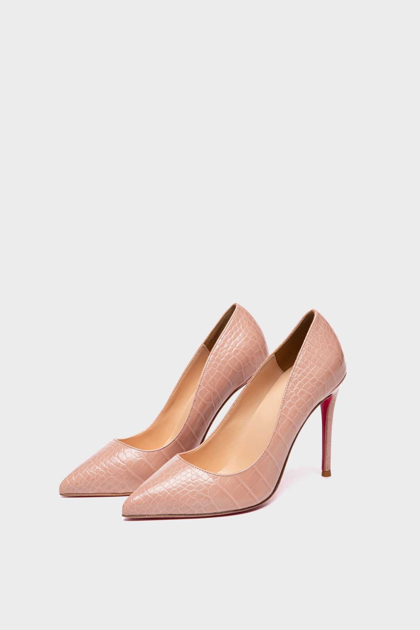 TAYA 100 DESERT CROC