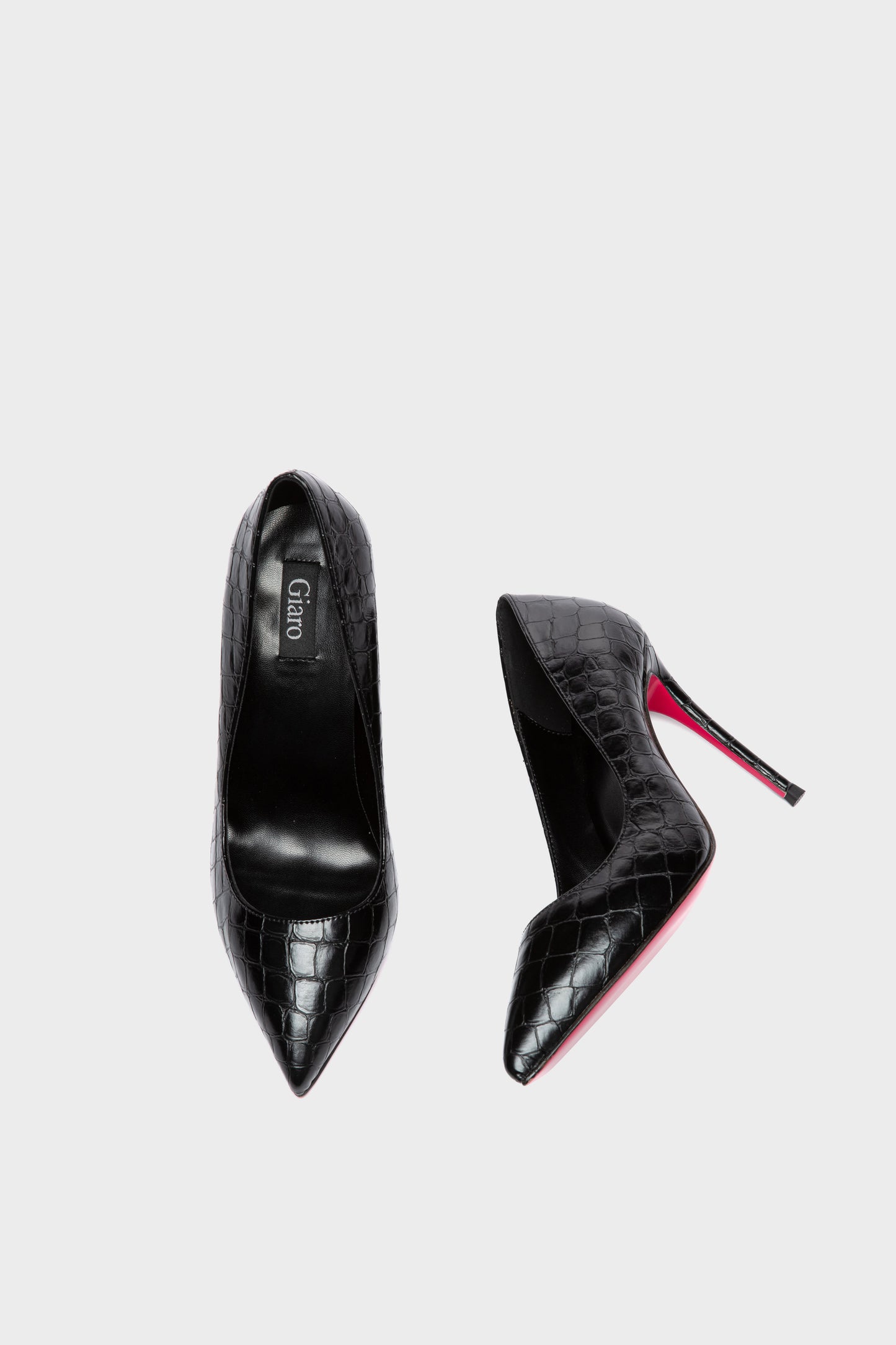 TAYA 100 MIDNIGHT CROC