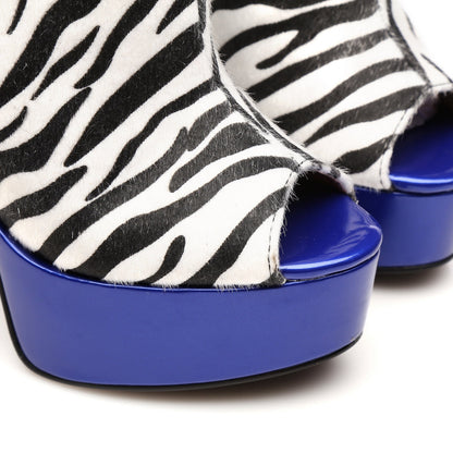 MARUCKLE ZEBRA
